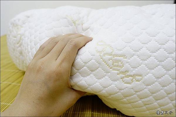 GreySa格蕾莎 哺乳護嬰枕 (7).JPG GreySa格蕾莎 哺乳護嬰枕 (7).JPG