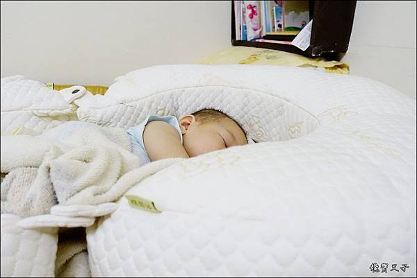 GreySa格蕾莎 哺乳護嬰枕 (9).JPG GreySa格蕾莎 哺乳護嬰枕 (9).JPG