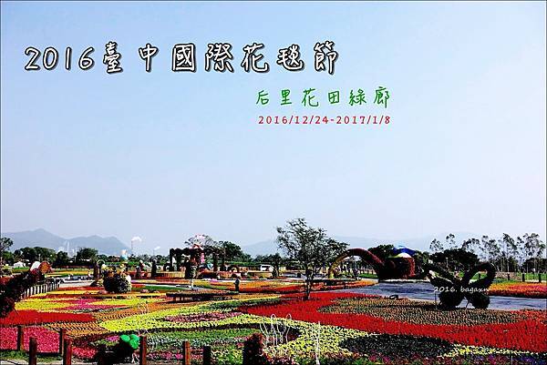 台中后里 2016臺中國際花毯節in后里花田綠廊 又子 媽咪拜mamibuy