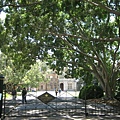 Royal Botanic Garden-IMG_7877.JPG