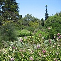 Royal Botanic Garden-IMG_7898.JPG