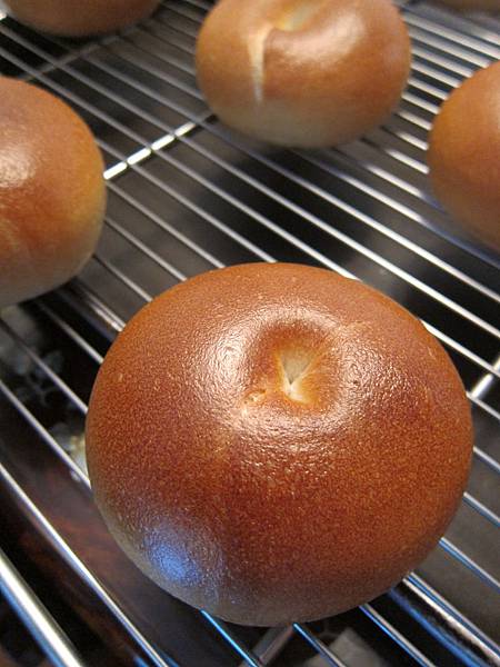 BagelLike~Bagel (28).JPG