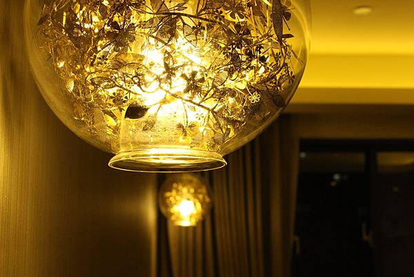 IMG_8041 IMG_8041