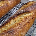 MK-法國麵包-裸麥種-10.jpg