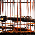 CH-2840-Bird-Cage-2.png