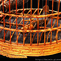 CH-2840-Bird-Cage-4.png