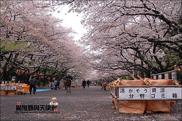 444002837_293f2aac92_o