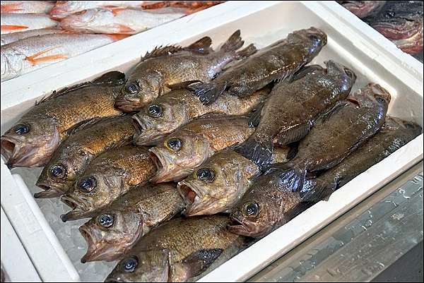 秋田美食 必買伴手禮 有夠超值的生魚片定食 Kitchen 海鮮店及不可錯過的必買伴手禮 魔鬼甄與天使嘉