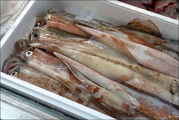 秋田美食 必買伴手禮 有夠超值的生魚片定食 Kitchen 海鮮店及不可錯過的必買伴手禮 魔鬼甄與天使嘉