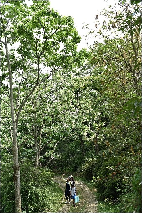 親子景點