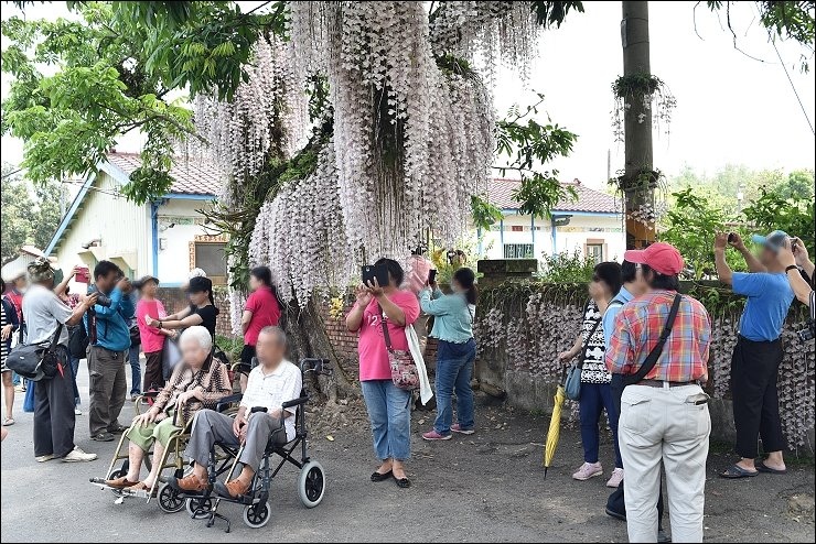 台南白河