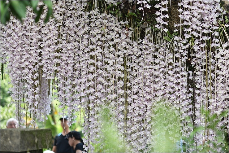 台南美食