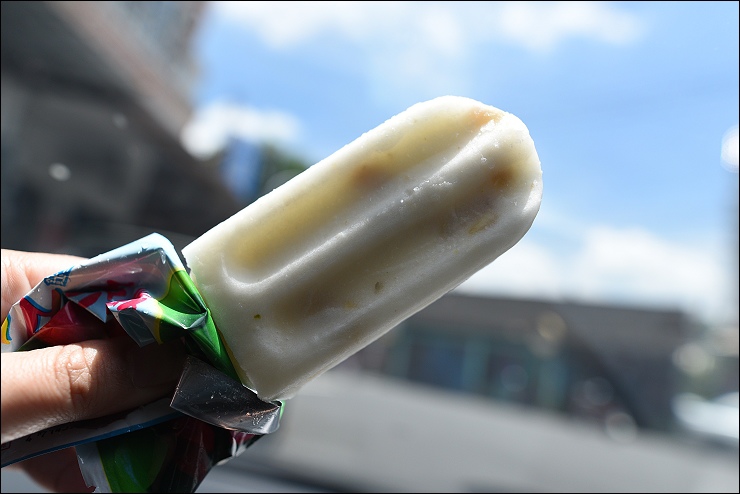 白河蓮花季 白河蓮花季