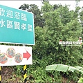 南瓜隧道