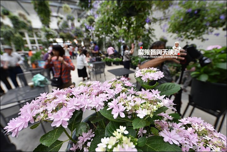 關西景點 關西景點