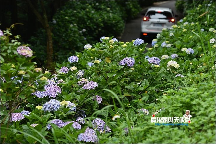 高山青秘境