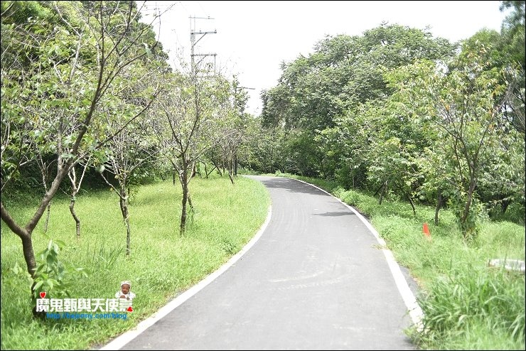 香山青青草原