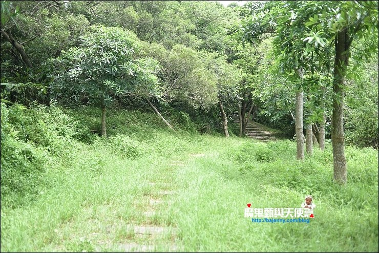 香山青青草原