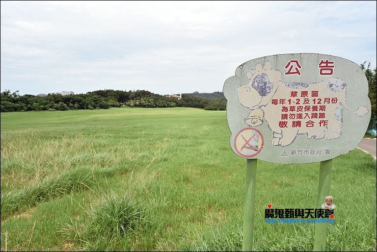 香山青青草原