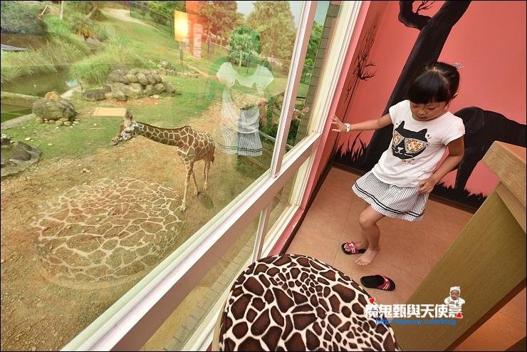 新竹六福村 新竹六福村