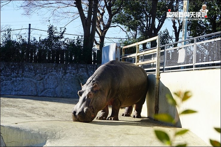 東武動物園