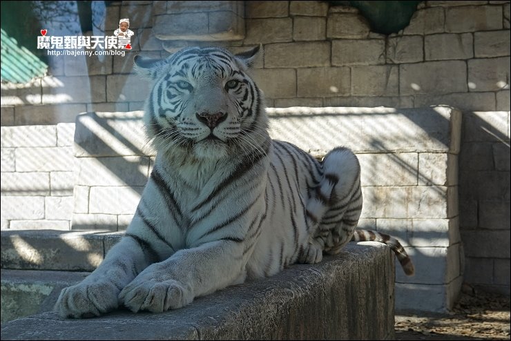 東武動物園