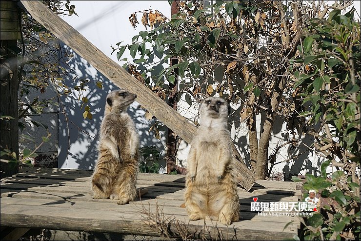 東武動物園