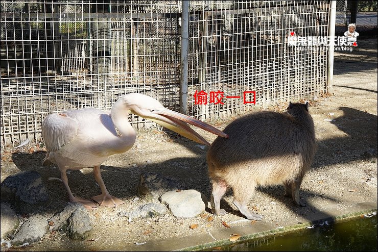 東武動物園