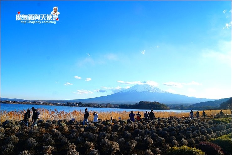 東京近郊交通 東京近郊交通