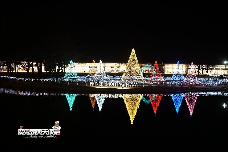東京廣域周遊券 東京廣域周遊券