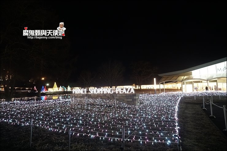 東京廣域周遊券 東京廣域周遊券