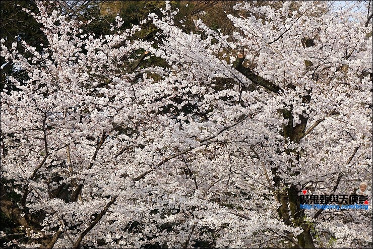 靖國神社