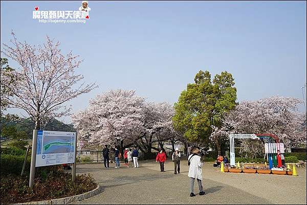 關西 賞櫻景點 關西人氣前三名賞櫻景點 八幡市淀川河川公園背割堤絕美櫻花林 18 4 2花況 魔鬼甄與天使嘉 痞客邦 關西 賞櫻景點 關西人氣前三名賞櫻景點 八幡市淀川河川公園背割堤絕美櫻花林 18 4 2花況 魔鬼甄與天使嘉 痞客邦