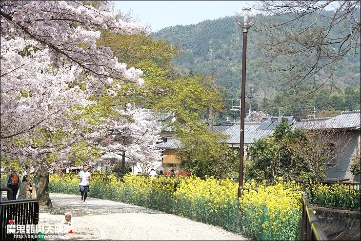 山科疏水