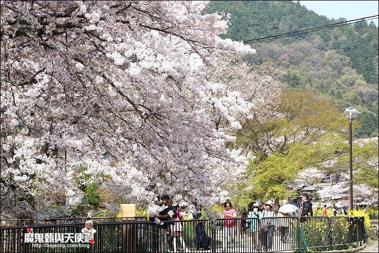 山科疏水