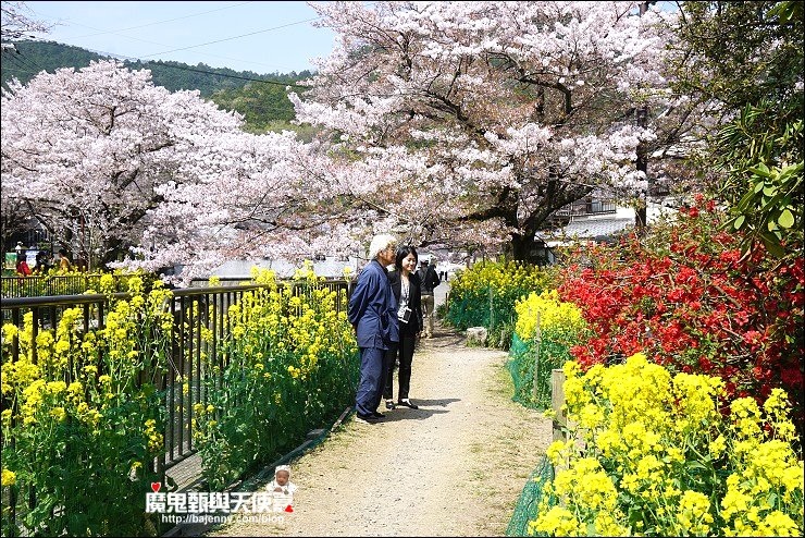 山科疏水