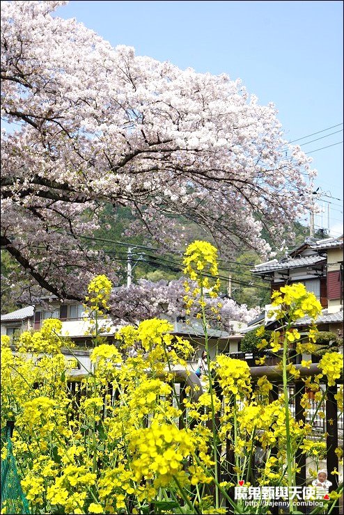 山科疏水