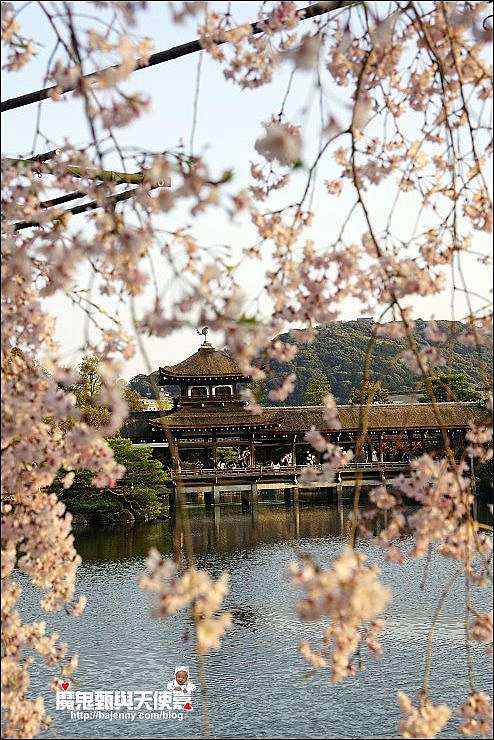 關西 京都 平安神宮櫻花盛開 夜櫻加碼音樂會超強組合 18 4 2最新花況 平等院夜櫻4 5 4 9期間限定 魔鬼甄與天使嘉 痞客邦