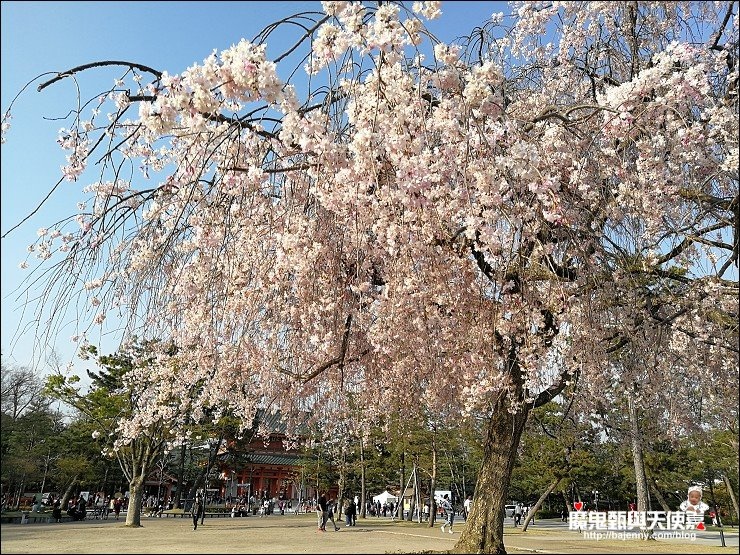 平安神宮