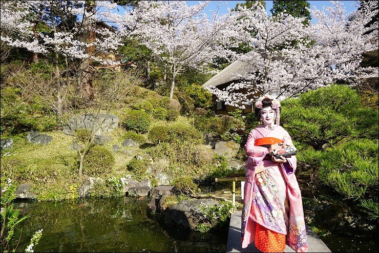 京都舞妓體驗 舉手投足超吸睛的舞妓變身初體驗 舞妓 花魁體驗studio夢工房 雪花台湾