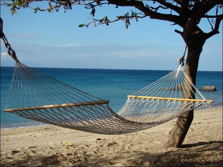 60397_110815102606524 60397_110815102606524