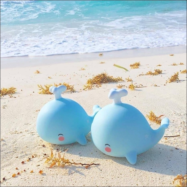 36511049_1383481138462481_5819565623906140160_n