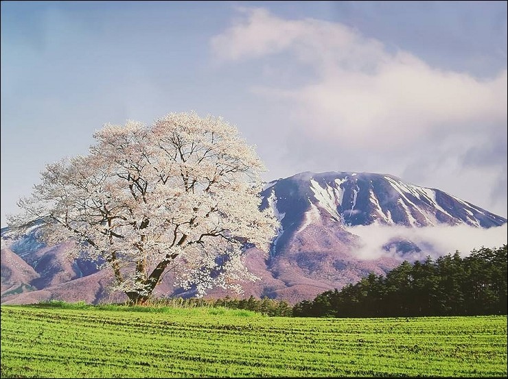 P1170090_2.jpg P1170090_2.jpg