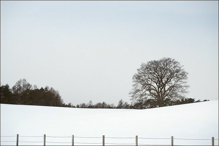 P1170090.jpg P1170090.jpg