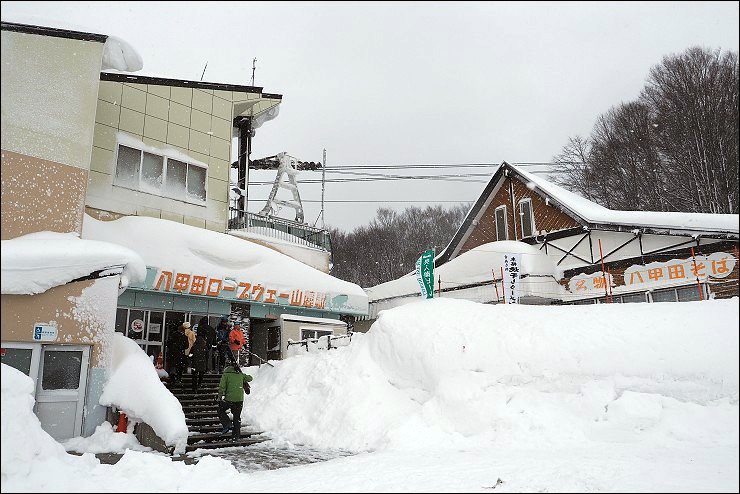 P1190364.jpg P1190364.jpg