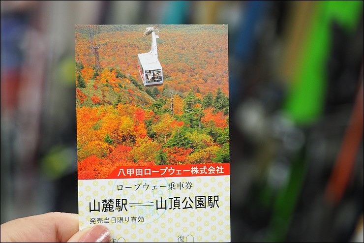 P1190373.jpg P1190373.jpg