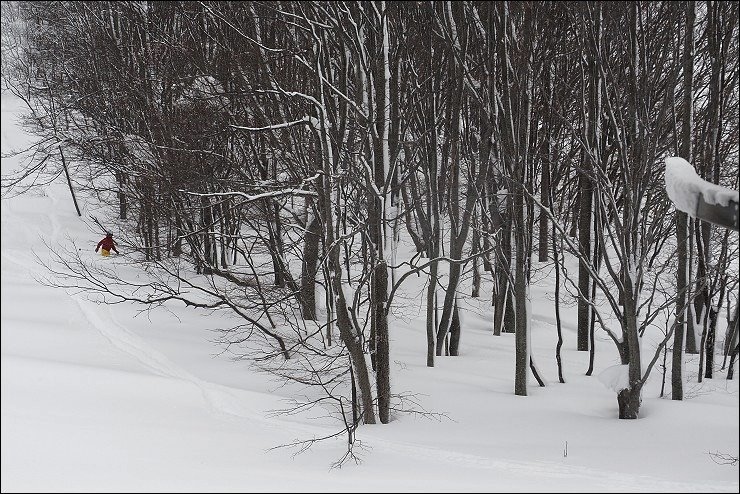 P1190387.jpg P1190387.jpg