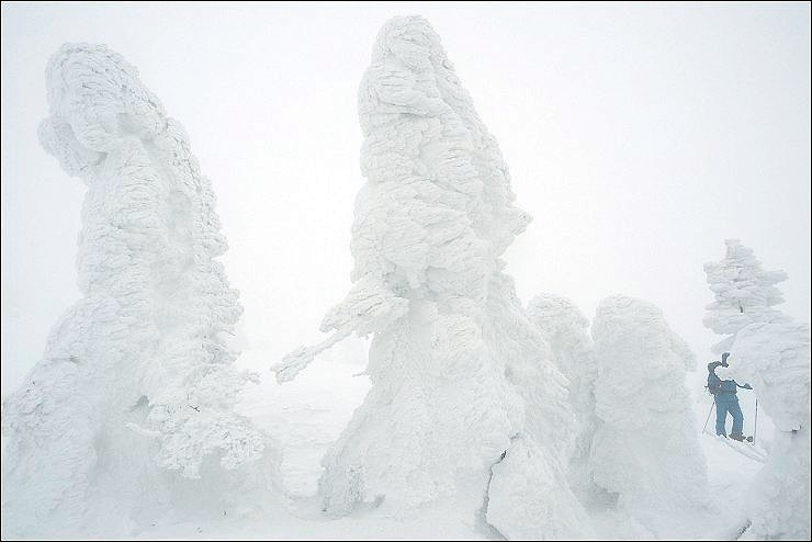 P1190391.jpg P1190391.jpg