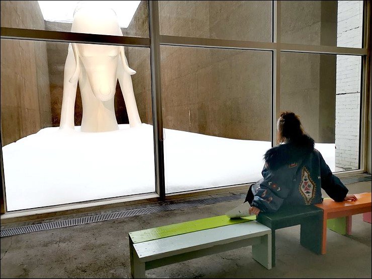 P1190467_1.jpg P1190467_1.jpg