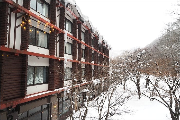 P1200695.jpg P1200695.jpg